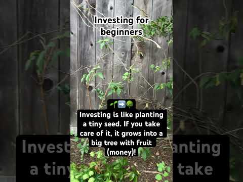 Investing for beginners