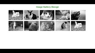 Image hover effect using CSS and HTML | image gallery using html and css | image gallery tutorial