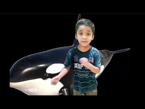 Kids Poem| Educational Poem | kids Video | Hindi Poem | Rhymes | Nersery Rhymes| #kidspoemhindi