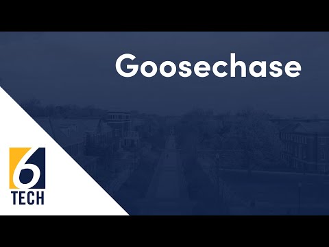 Goosechase