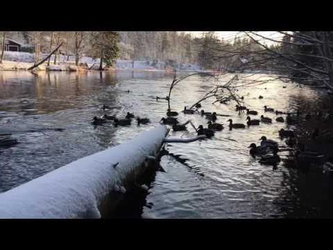 Änder i Bullerdalen