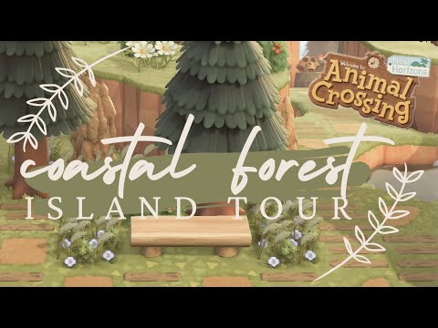 coastal forest island tour | animal crossing new horizons