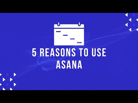 5 Reasons You Should Be Using ASANA in Your Property Business