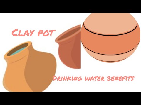 ਘੜੇ ਦਾ ਪਾਣੀ ਇੱਕ ਵਰਦਾਨ ||Benefits of drinking clay pot water|| #viralvideo #punjabilife #trending