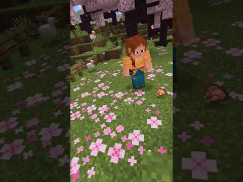 me while studying #memes #minecraft