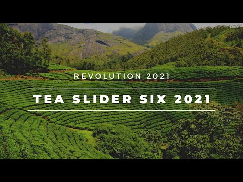 Tea garden sylhet slider Six in slider revolution2021-Website Maker