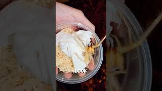 Shocking Truths About the Camel Spider! #shortviral #shorts #trending