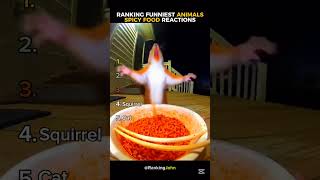 Ranking Funniest animal spicy food reactions🤣🌶🔥(part 2) #ranking #rankingjohn #animals