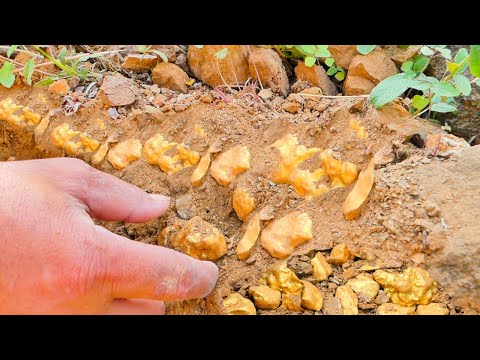 Hidden Treasure Revealed: Massive Natural Gold Nuggets