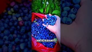7 Mind Blowing Super Food. #shorts #health #facts #food