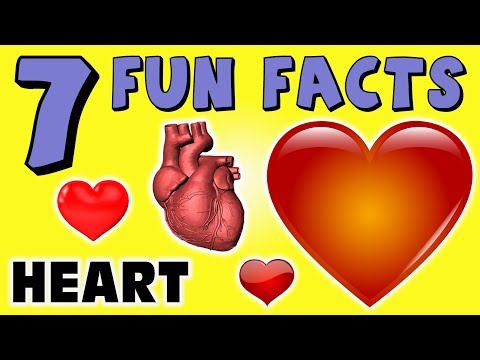 7 FUN FACTS ABOUT HEARTS! HEART FACTS FOR KIDS! Love! Learning Colors! Funny! Pump! Blood! Puppet!