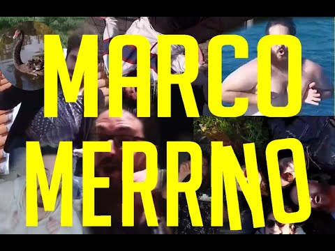 MARCO MERRINO SONO IO!! ma sono tutti i merreact per 5 minuti