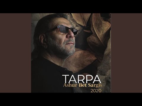 Qaribaya