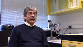 Benefits of Active Learning