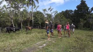 Dominican Republic Nature Walk - DR Eco Adventures