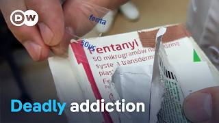 Poland’s fentanyl crisis | DW Documentary