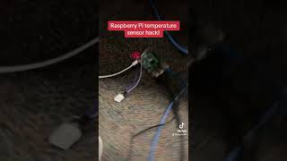 Raspberry Pi Temp Sensor! #fyp #foryou #trending #tech #linux #technology #raspberrypi #hacks #hack