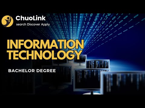 What is Information Technology? (Bachelor)