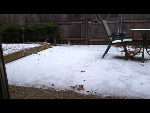 Snow in Dallas