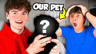 We Got A PET..