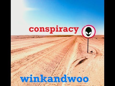 winkandwoo -  Conspiracy (AUDIO)