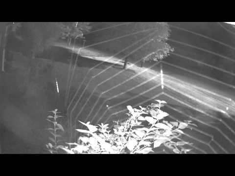Front yard camera - first walk through