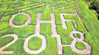 Video Aug 06, 7 31 35 AM