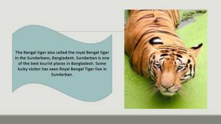 Most Beautiful Places In Bangladesh