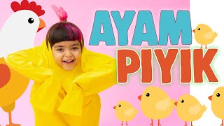 AYAM PIYIK - MAZAYA (Official Music Video)