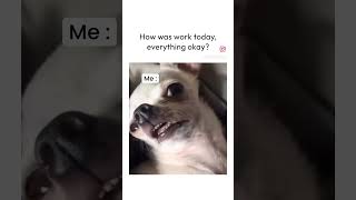 Can you relate? #office #officememes #meme #memes #memesdaily #corporate #sad #crypto #happy #sad