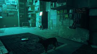 - STRAY - Cat Role Playing Game