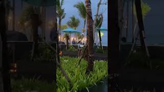 Bali beach club, kuta