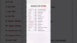 Basics of html #basichtml #html #learnhtml