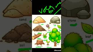 #vocabulary #shortvideos #english #englishlearningplatform