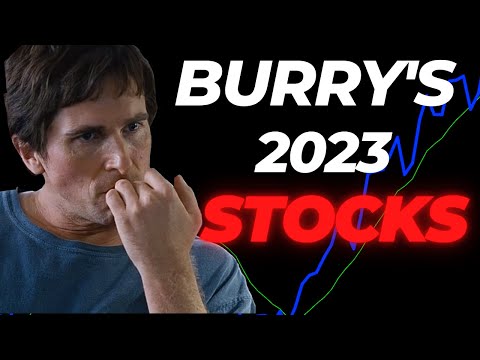 Michael Burry Invests $30 Million in 7 Stocks