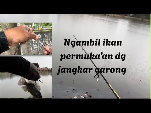 Mancing Garong, Dengan Jangkar TIMAH⁉️