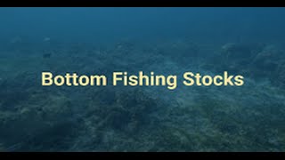 Bottom Fishing in Stocks - Options Strategy EXPLAINED!