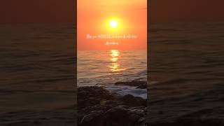 Positive Morning Affirmations✨ Attract Joy & #blessings   #affirmation #selflove #calm #voiceover