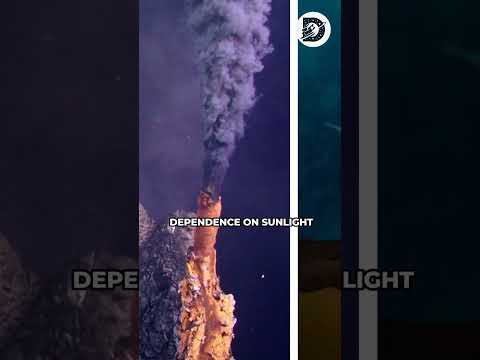 The Exploration Of Deep Sea Hydrothermal Vents #shorts #sea