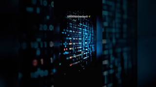 Stay Curious, Code Fearless #StayCurious #CodeAdventures