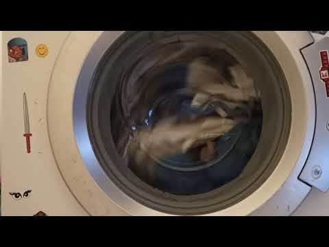 Siemens Washing Machine Spin 800 Close View