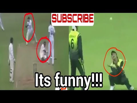Top 5 Cricket funny and foolish moments ever/ Top 5 unexpected moments in cricket history