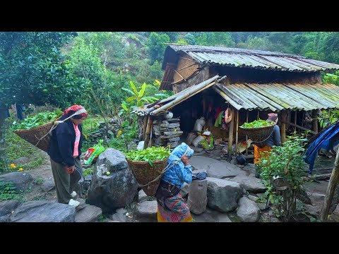 Life in an Old Riverside House | Pure Organic Village Living || Eastern Med-Hill Rural Nepal ||