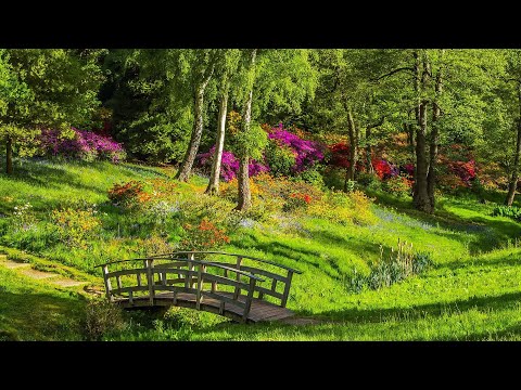 Relaxing Romantic Music | Nature Scenery