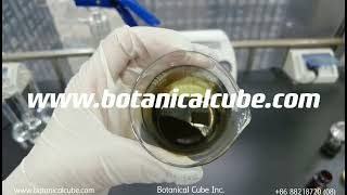 Cnidium seed extract 10% osthole liquid by Botanical Cube Inc.