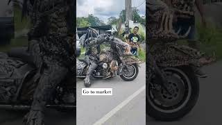 Go to market #predatorthailand #predator #predatorparadise #alienvspredator