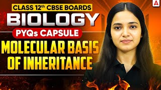 Class 12 Biology | CBSE Boards 2026 | Molecular Basis of Inheritance | PYQs Capsule