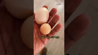 Apni ulad ko educate karo #Ideas #pakistan #Azadchaiwala #tiktoklive #businesstips