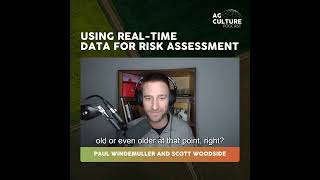 Using real-time data for risk assessment