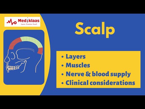 Scalp | Layers | Muscles | Anatomy| Mediklaas